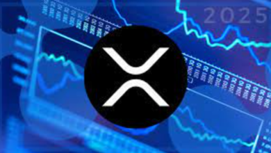 The Role of XRP in the Digital Currency Market and Its Price USD