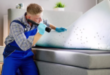 Expert-Approved Bedbug Control Strategies