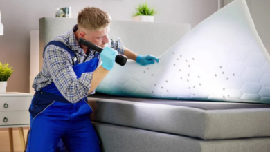 Expert-Approved Bedbug Control Strategies